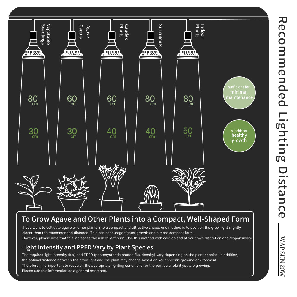 【WAP-SUN-20W】BULB E26<br>Water-resistance IP65<br>CCT: 4300~4700K