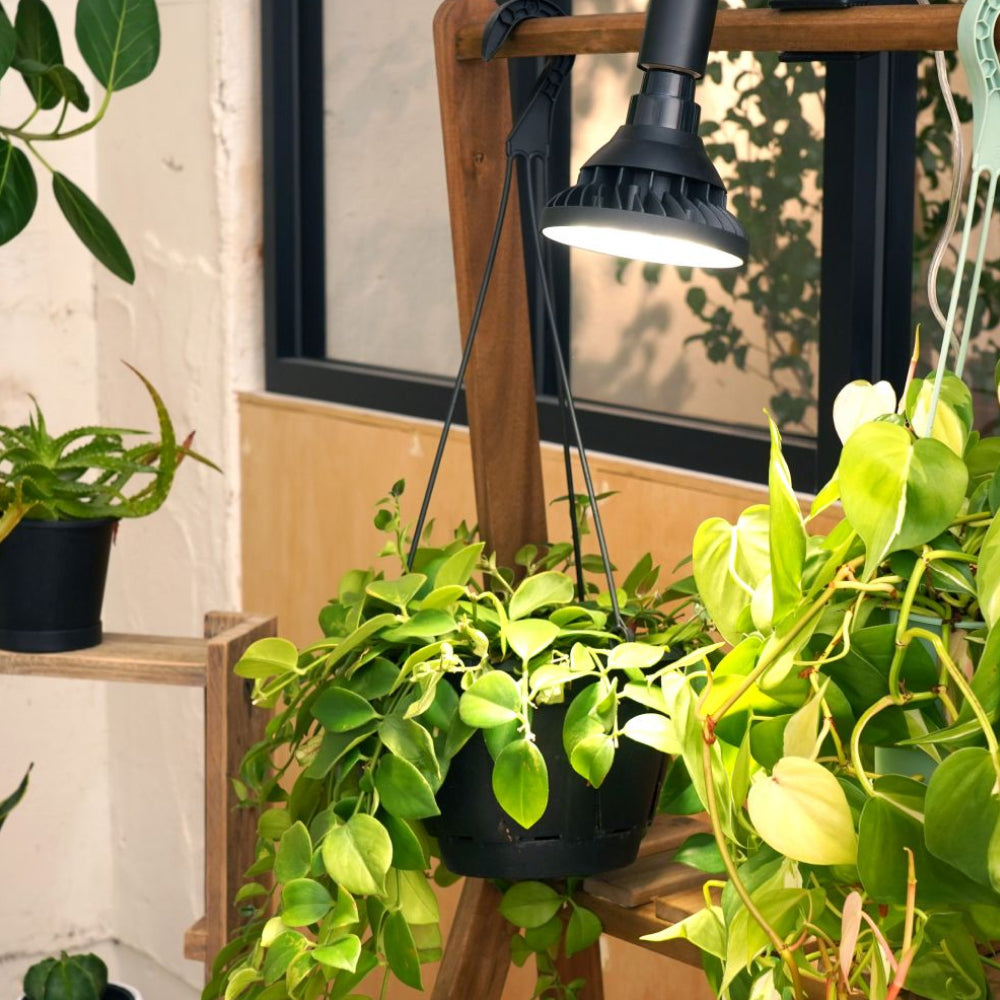 【WAP-SUN-20W】BULB E26<br>Water-resistance IP65<br>CCT: 4300~4700K