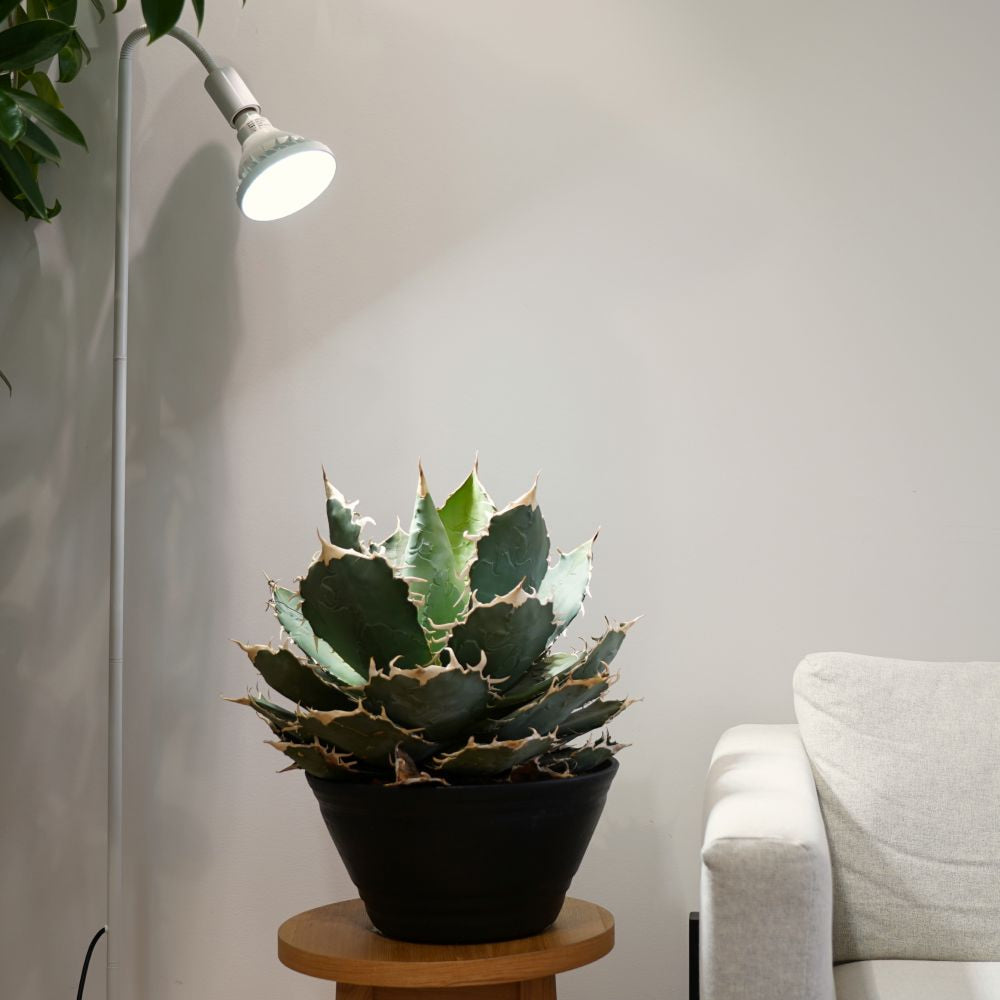 【WAP-SUN-20W】BULB E26<br>Water-resistance IP65<br>CCT: 4300~4700K