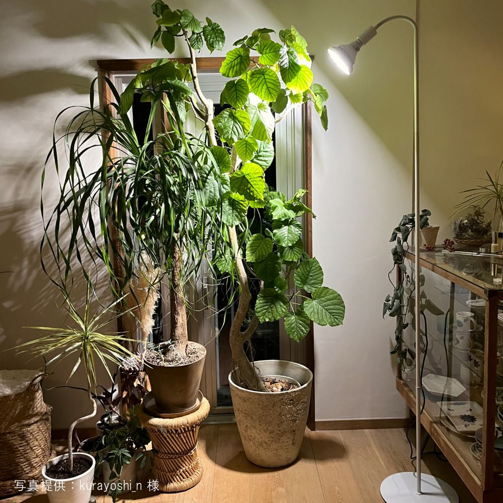 【WAP-SUN-20W】BULB E26<br>Water-resistance IP65<br>CCT: 4300~4700K