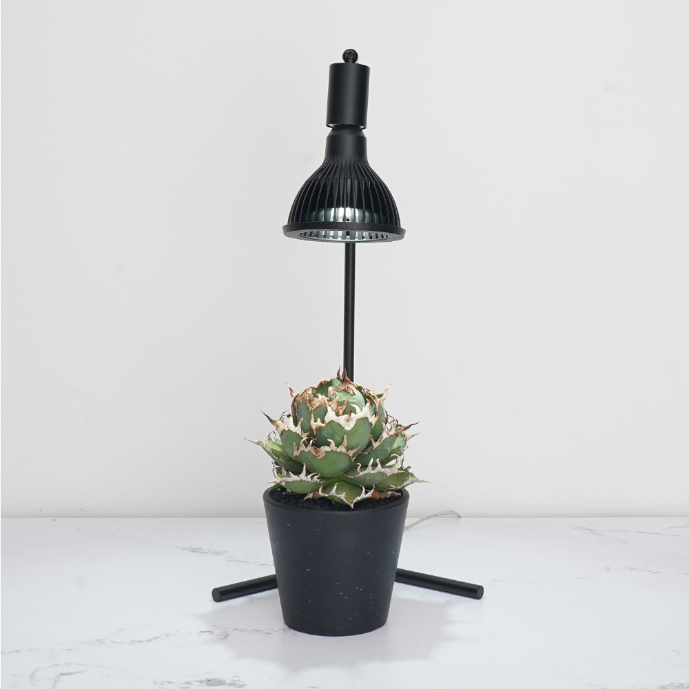 Floor Lamp Stand Akon Black White Plant Growth Light Angle Adjustable 54CM FLOOR LAMP STAND [AKOND]