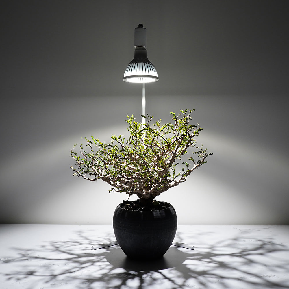 Floor Lamp Stand Akon Black White Plant Growth Light Angle Adjustable 74CM FLOOR LAMP STAND [AKOND]