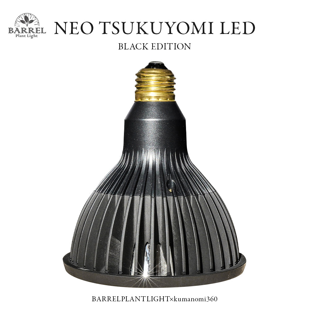 Neo Tsukuyomi LED 20W BACK Ejiji Temperature