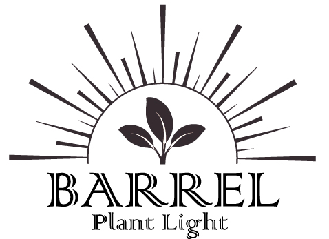 BARREL PLANT LIGHT