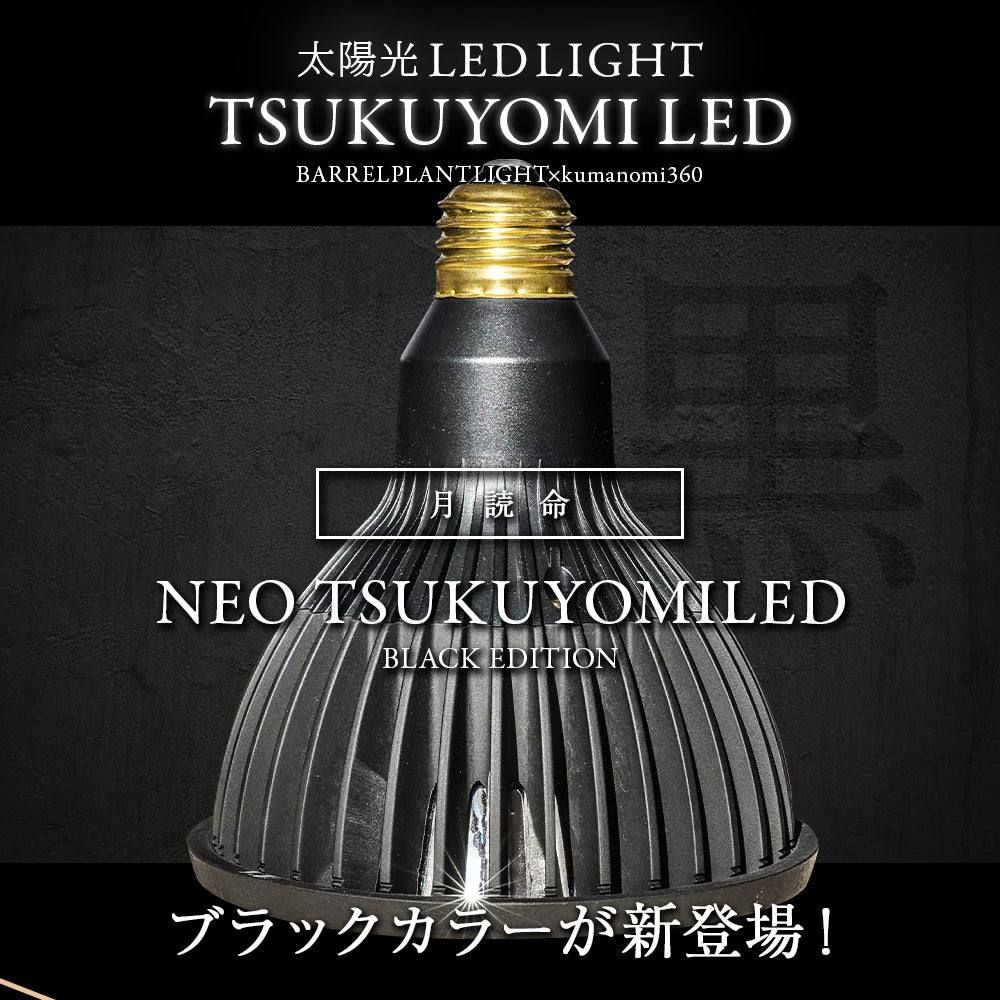 Neo Tsukuyomi LED 20W BACK Ejiji Temperature