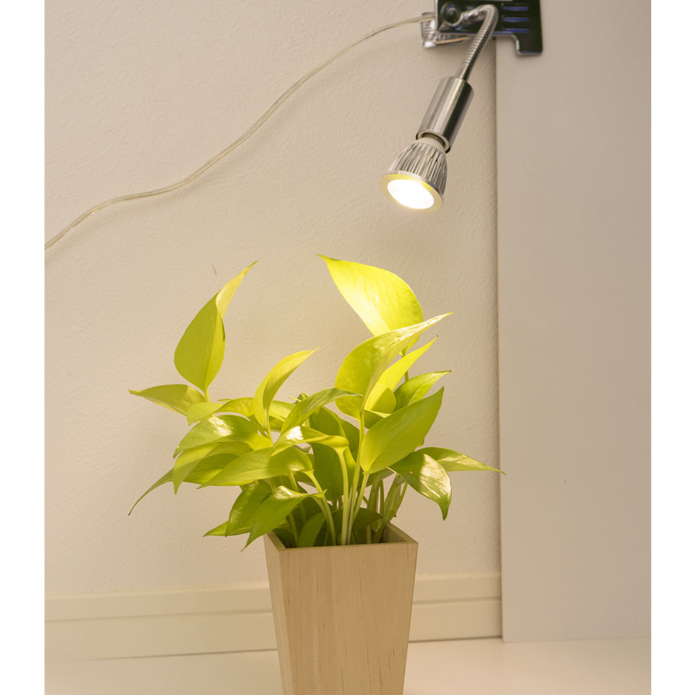 [Plant growth LED E17 PLANTLIGHT5W-W] White light bulb E17 (SUN-5W-W) (bulb only) Plant growth light Terrarium Aquarium Diffused light