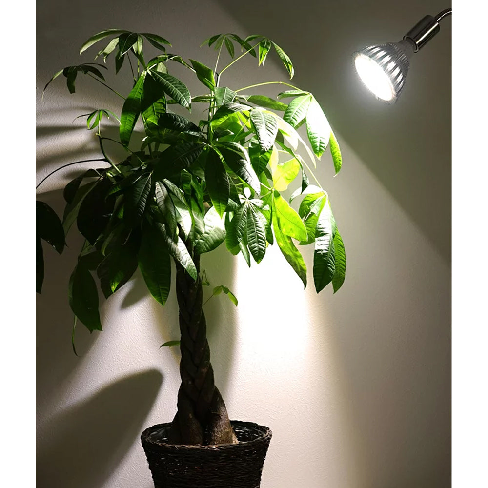 [Plant cultivation LED SUN-20W-W×E26 PLANT CLIP-A set sale] White light bulb diameter E26 (PLANTLIGHT20W-W) Ornamental plant cultivation light