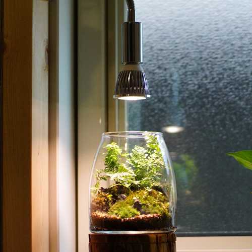 [Plant growing LED PLANTLIGHT5W-W white bulb E17 SUN-5W-W×E17 PLANT CLIP-B set sale] Plant growing light Terrarium Aquarium Diffused light