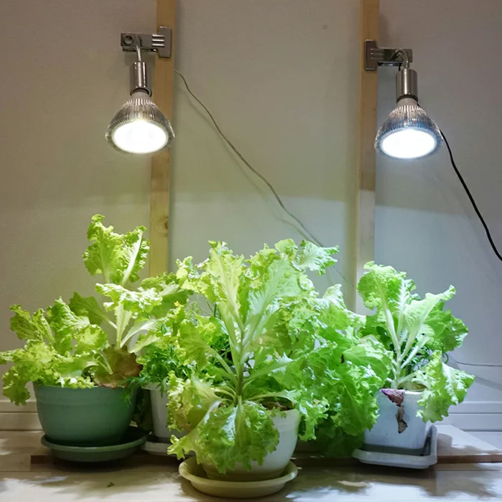 [Plant cultivation LED SUN-20W-W×E26 PLANT CLIP-A set sale] White light bulb diameter E26 (PLANTLIGHT20W-W) Ornamental plant cultivation light