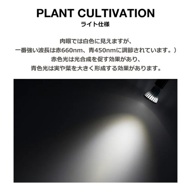 [Plant growth LED SUN-10W x E26 PLANT CLIP-A set] White bulb, diameter E26 (PLANTLIGHT10W) Houseplants Plant growth light