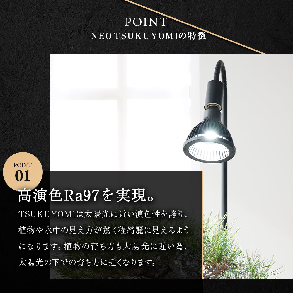 Neo Tsukuyomi LED 20W BACK Ejiji Temperature