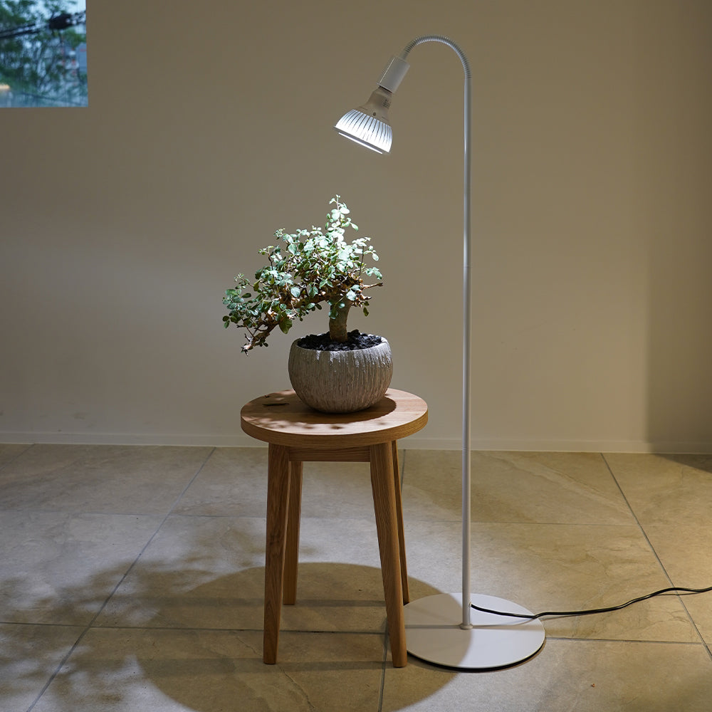 [Flexible arm light stand] White plant growth light with height adjustment function