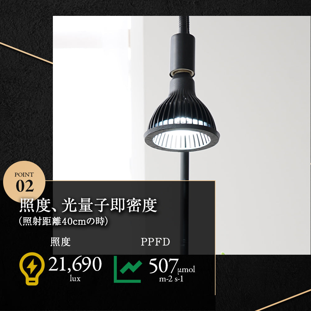 Neo Tsukuyomi LED 20W BACK Ejiji Temperature