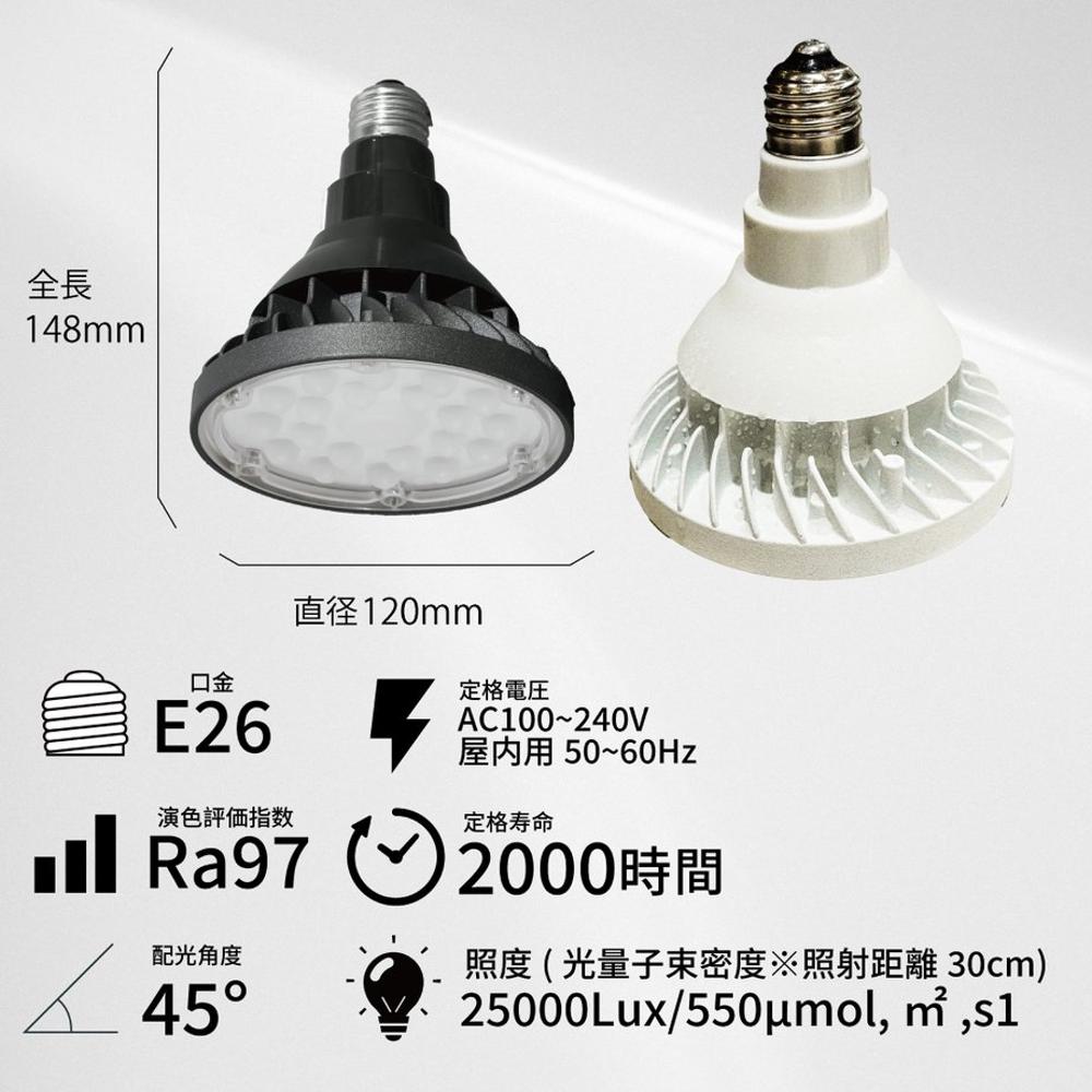 WAP-SUN-20W waterproof bulb