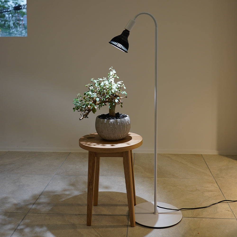 [Flexible arm light stand] White plant growth light with height adjustment function