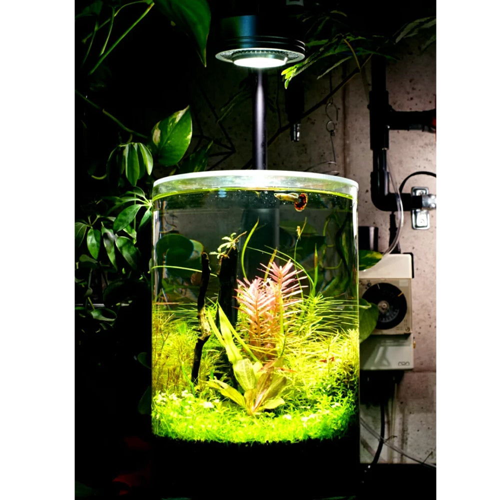 [Bottle Aquarium] Bottle Terrarium LED High Color Rendering Aquarium Lighting Terrarium Lighting Light Plant Growth LED Plant Growth Light Bulb Only