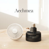 【Aechmea】Air circulator