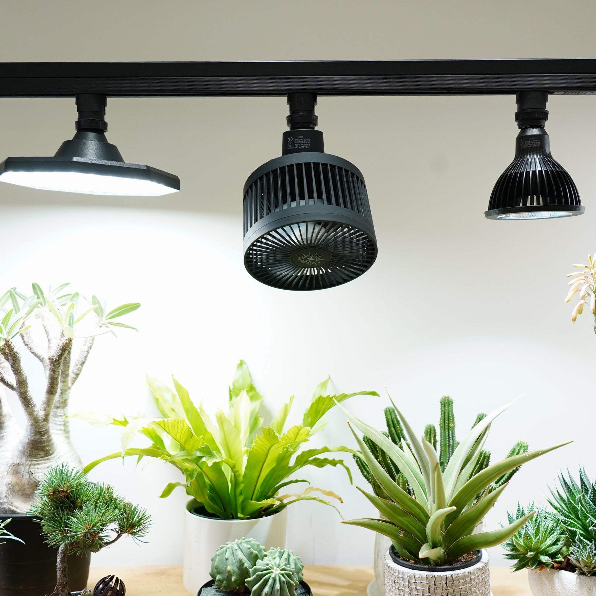 [AECHMEA MOVE] Oscillating fan, lighting rail installation type, remote control included, timer function
