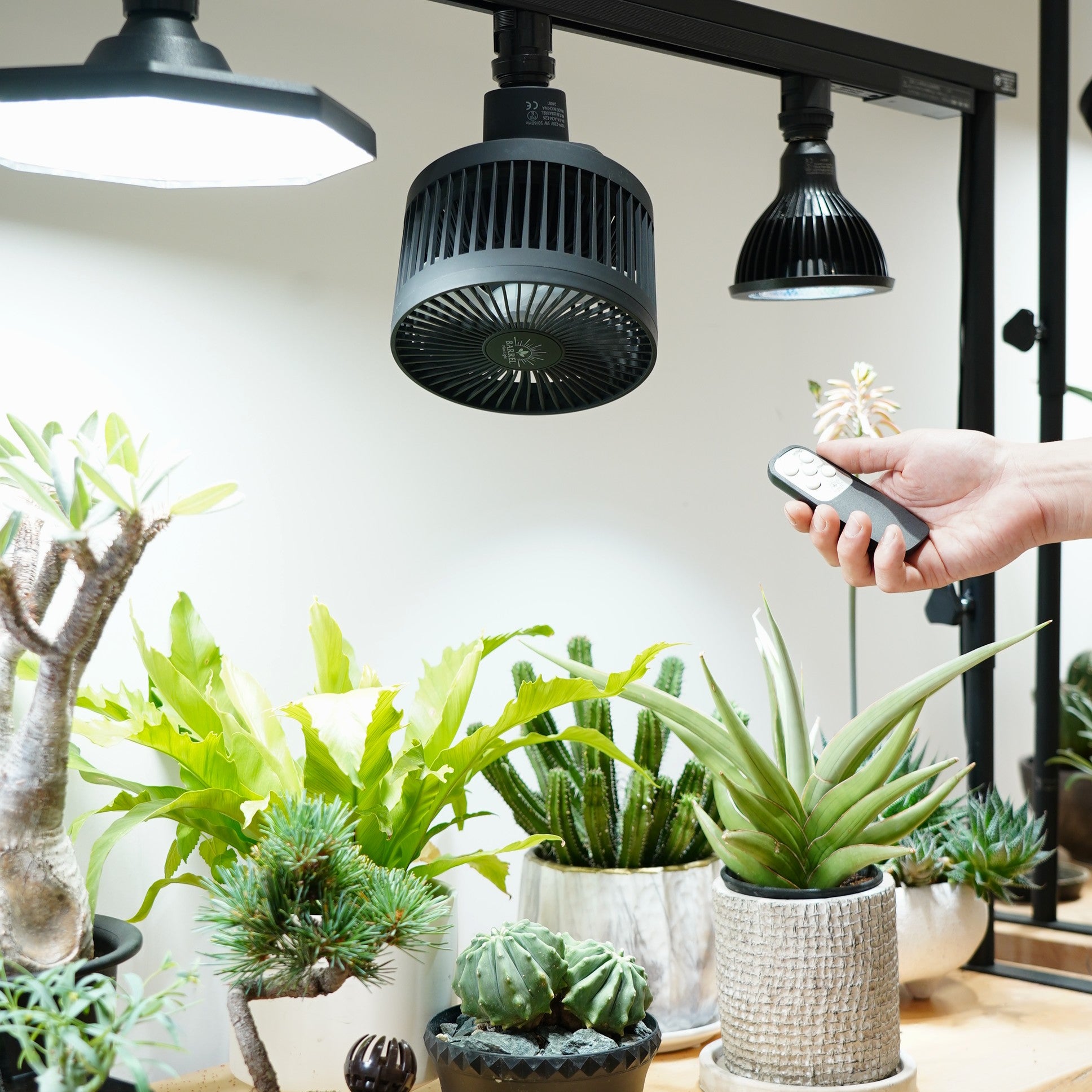 [AECHMEA MOVE] Oscillating fan, lighting rail installation type, remote control included, timer function