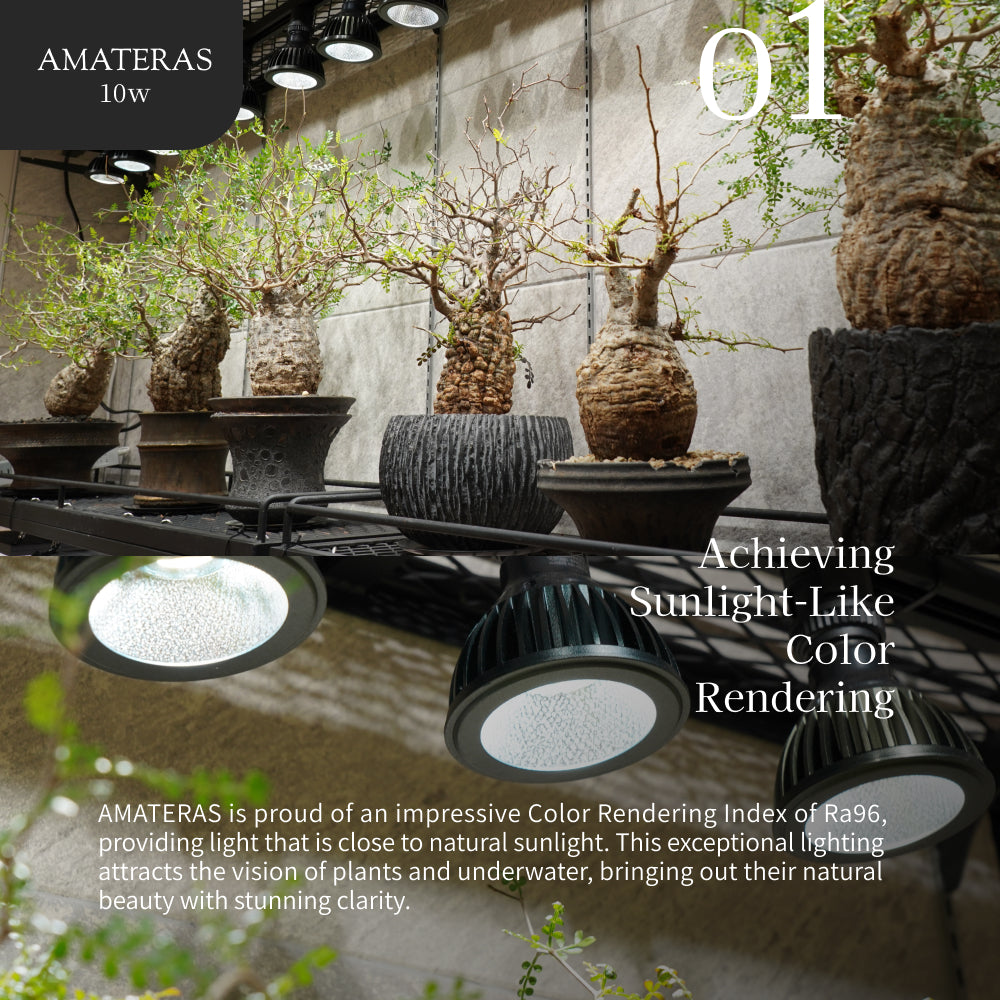 【Bundle】<br>AMATERAS LED 10W × PLANT CLIP-A-E26
