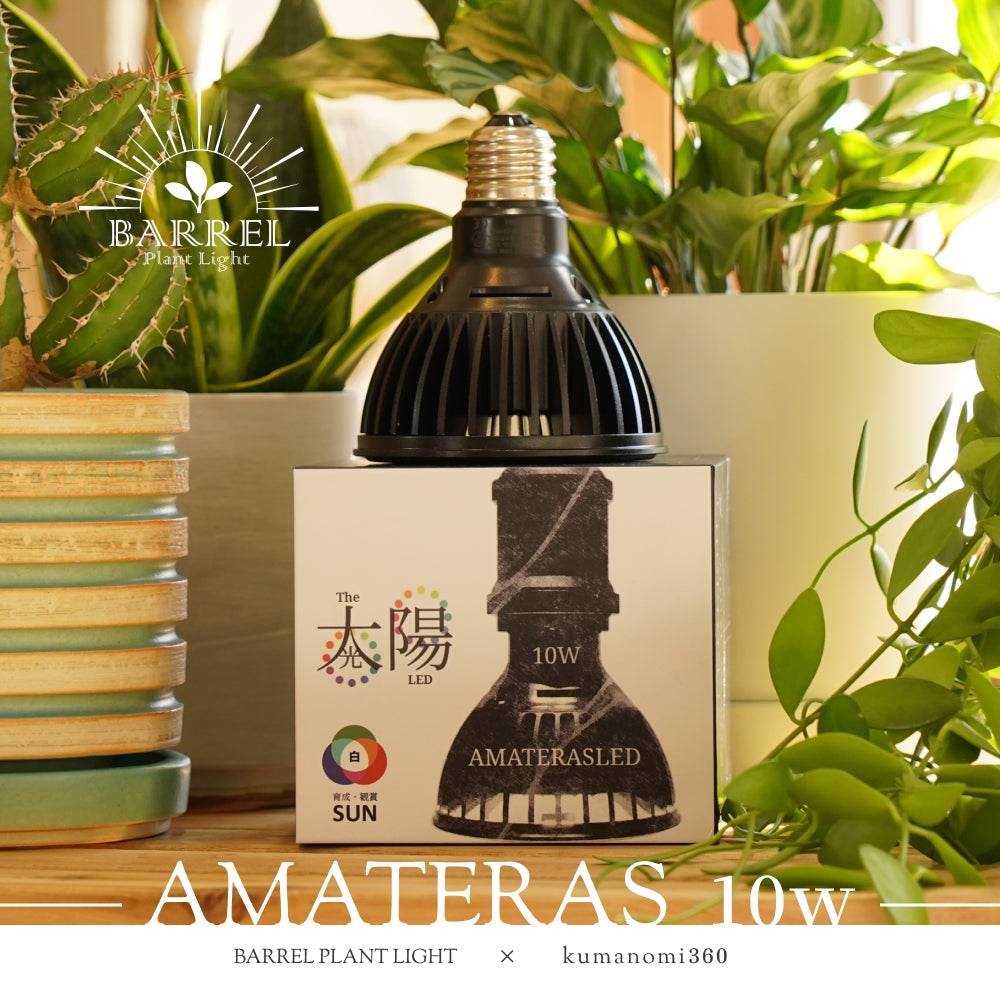 【AMATERAS-10W】<br>CCT: 5900K