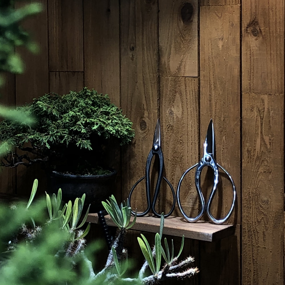 【BONSAI  SHEARS】