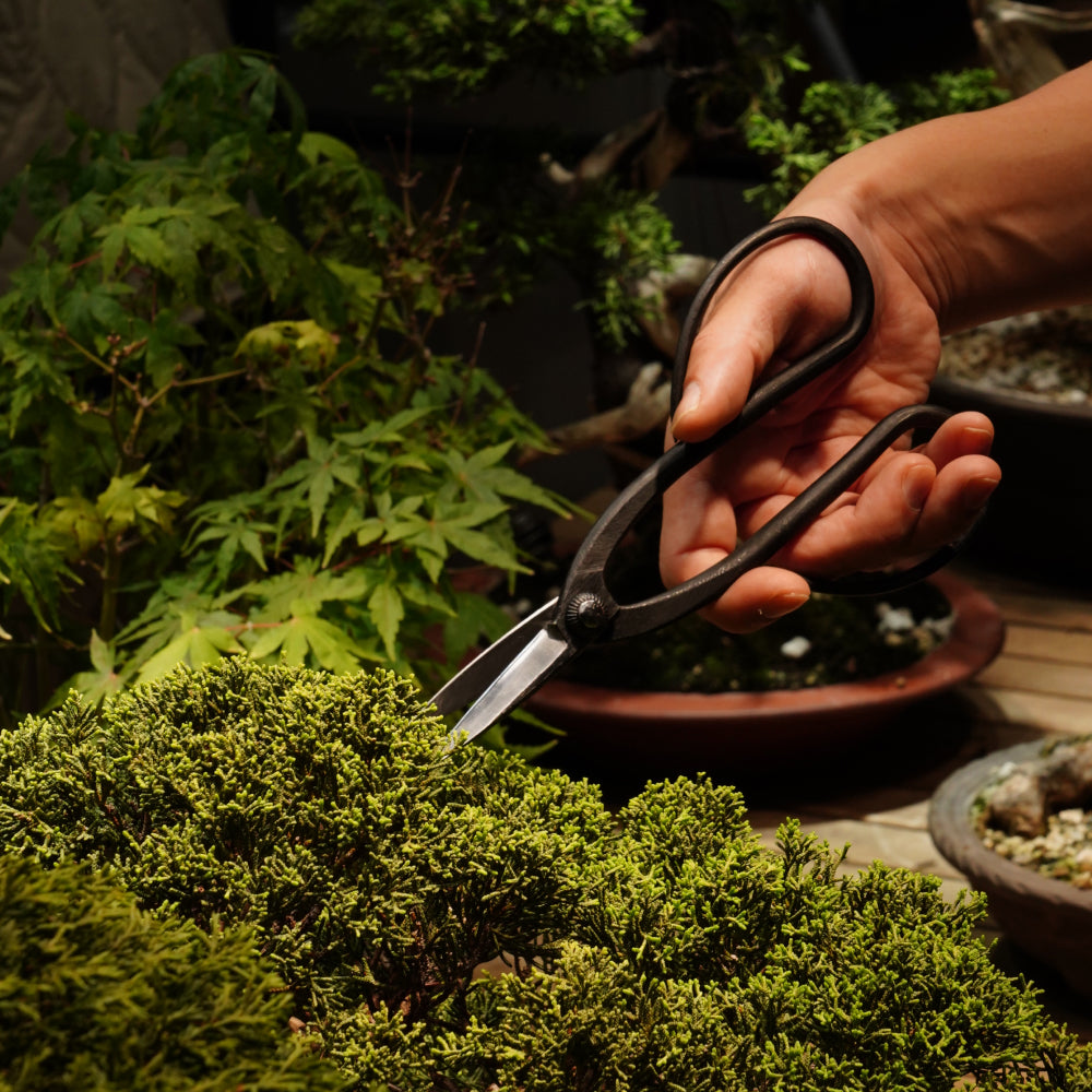 【BONSAI  SHEARS】