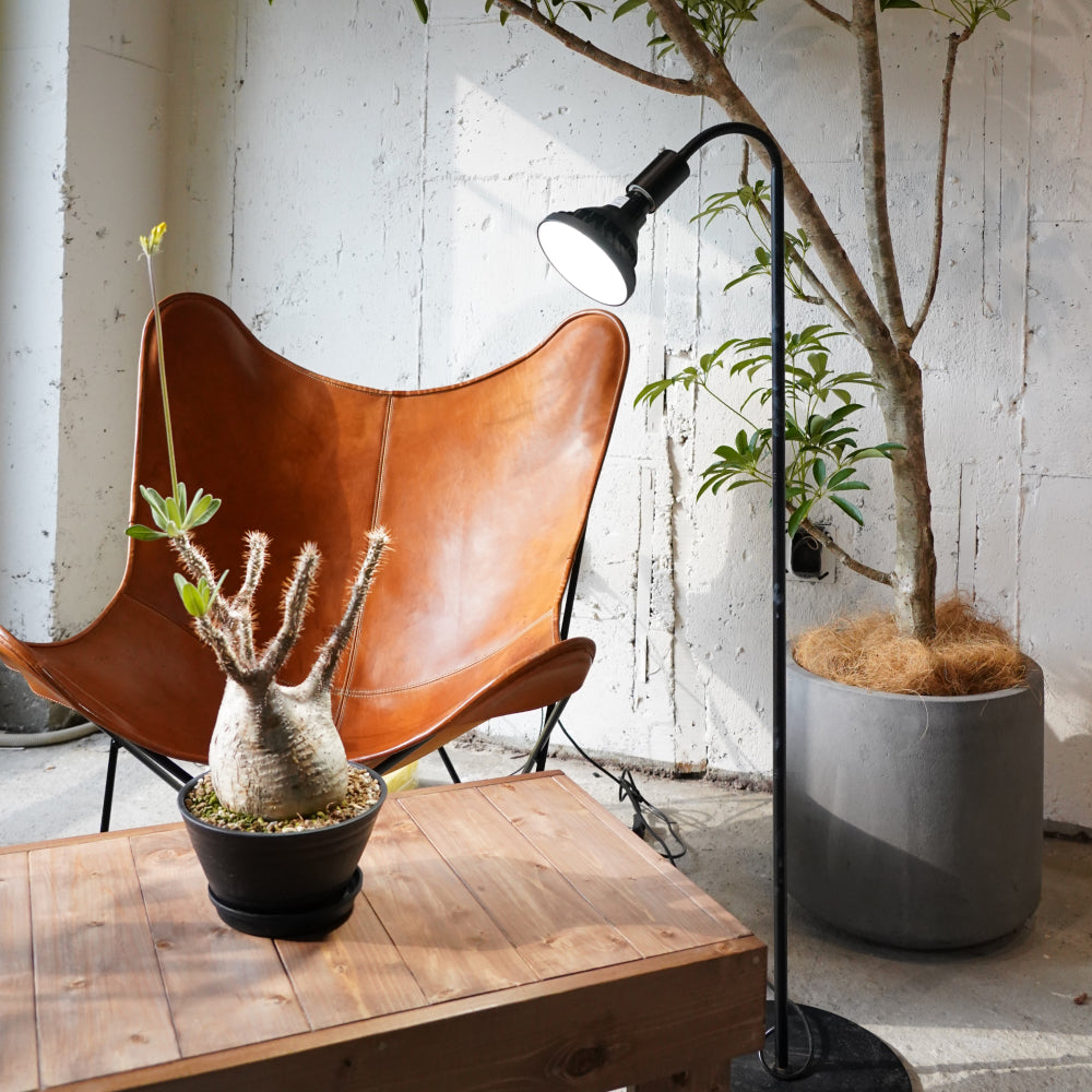 【Flexible arm light stand】<br>Lighting stand/Floor stand