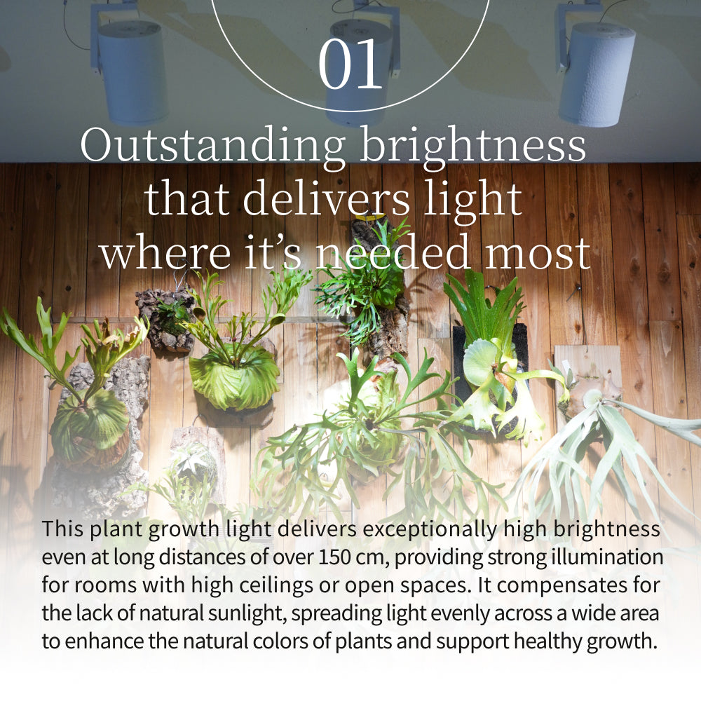 【HADES LED 45W]】<br>PRO SPEC<br>CCT: 3500K/5000K