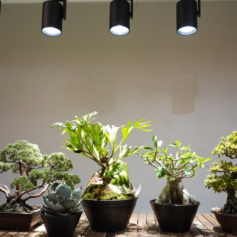 【HADES LED 45W]】<br>PRO SPEC<br>CCT: 3500K/5000K