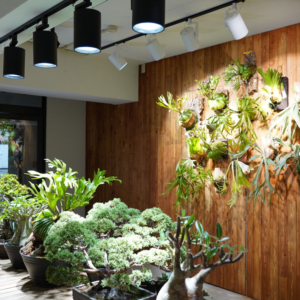 【HADES LED 45W]】<br>PRO SPEC<br>CCT: 3500K/5000K