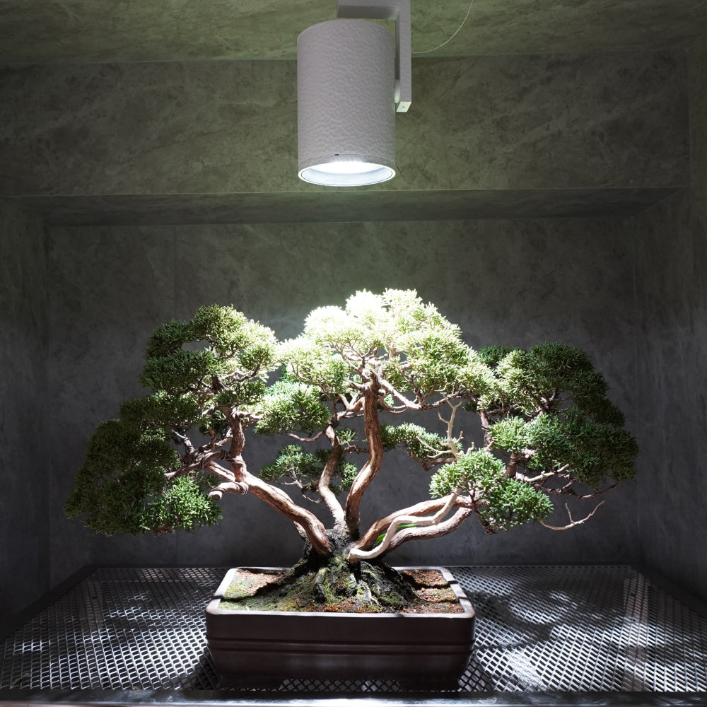 【HADES LED 45W]】<br>PRO SPEC<br>CCT: 3500K/5000K