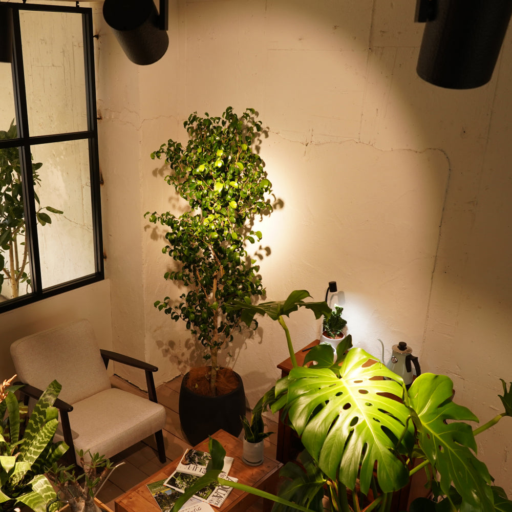 【HADES LED 45W]】<br>PRO SPEC<br>CCT: 3500K/5000K