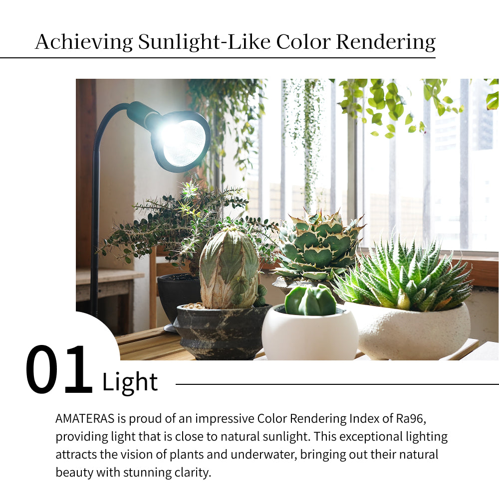 [NEO AMATERAS LED 20W] Plant Growth LED Solar LED Aquarium LED Terrarium Indoor Solar LED Black Body