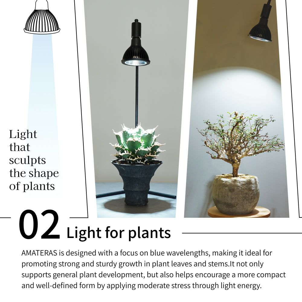 [NEO AMATERAS LED 20W] Plant Growth LED Solar LED Aquarium LED Terrarium Indoor Solar LED Black Body