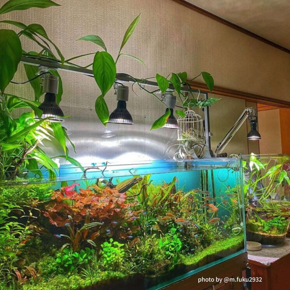 [NEO AMATERAS LED 20W] Plant Growth LED Solar LED Aquarium LED Terrarium Indoor Solar LED Black Body