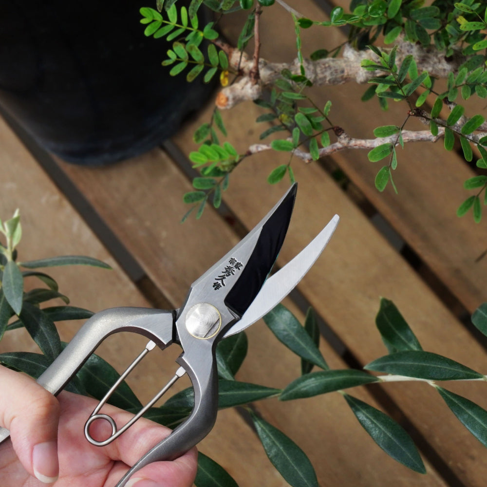 【PRUNING SHEARS】
