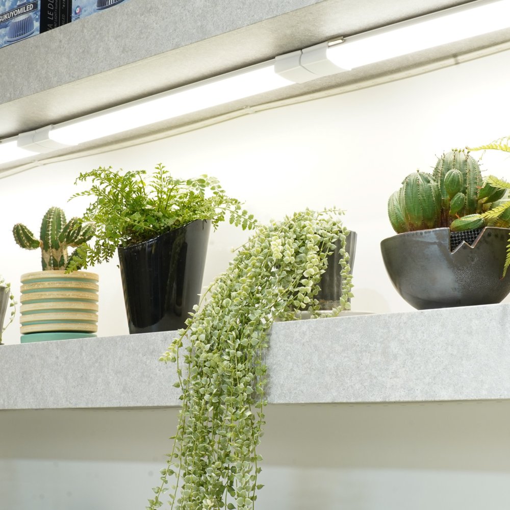 SHELF GROW SLIM