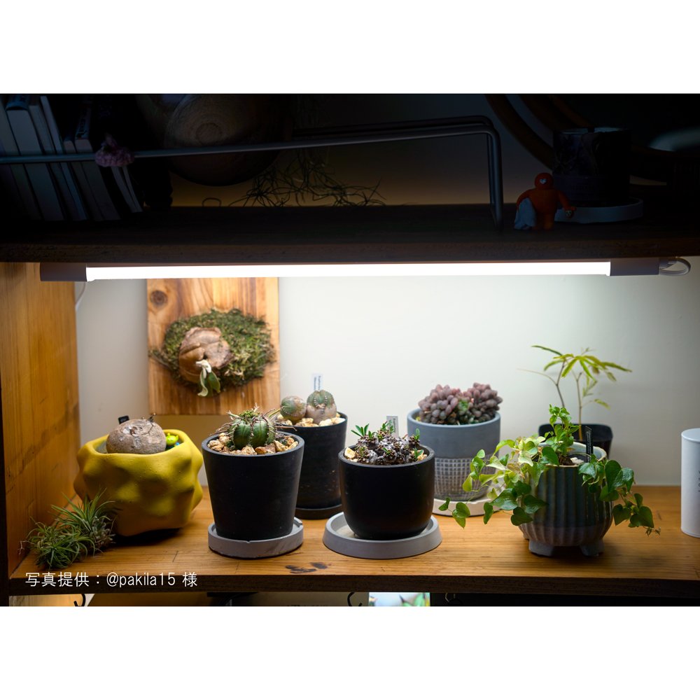 SHELF GROW SLIM