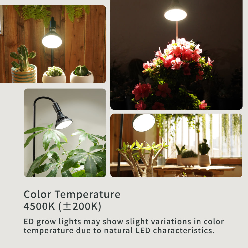 【WAP-SUN-20W】BULB E26<br>Water-resistance IP65<br>CCT: 4300~4700K